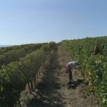 1680204512583897W34T34